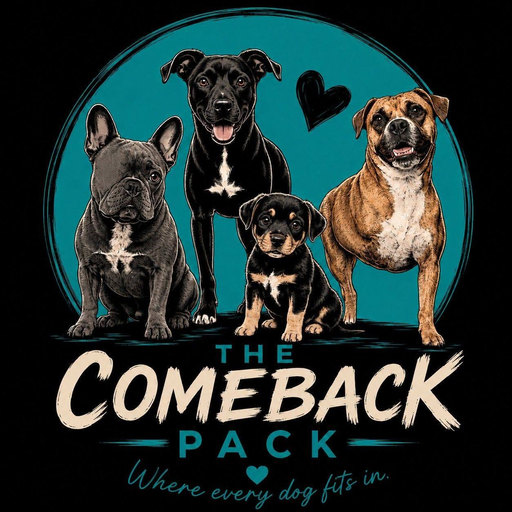 The Comeback Pack